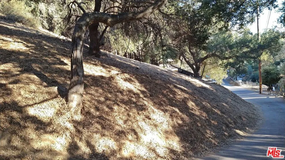 12300 SPRING TRAIL Sylmar, CA 91342