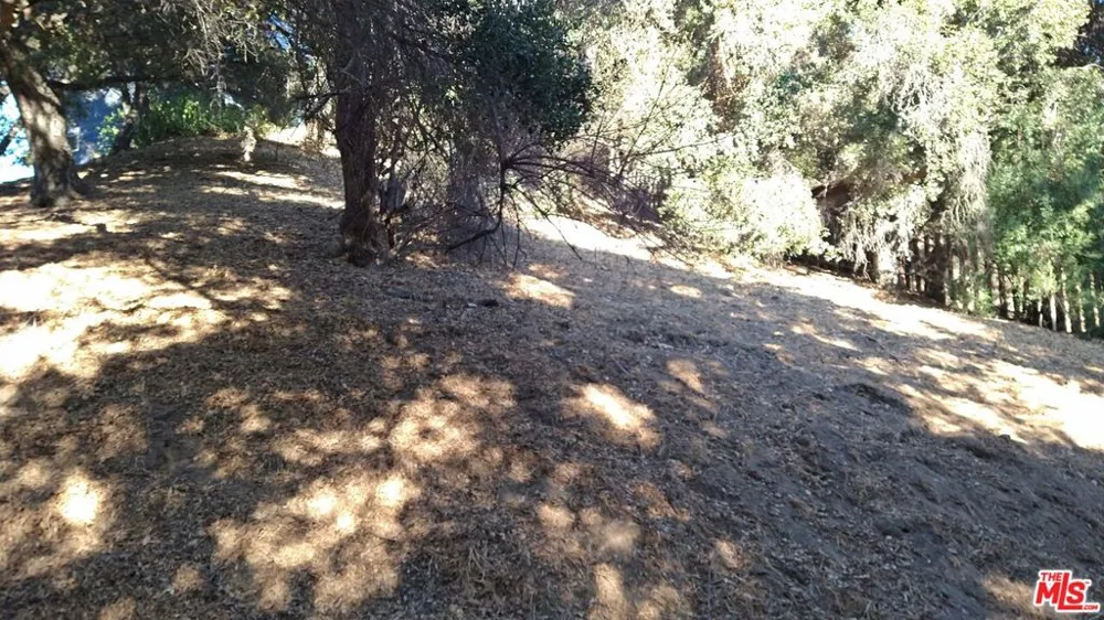 12300 SPRING TRAIL Sylmar, CA 91342