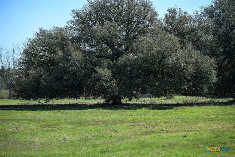 716 Main Loop Road Waelder, TX 78959