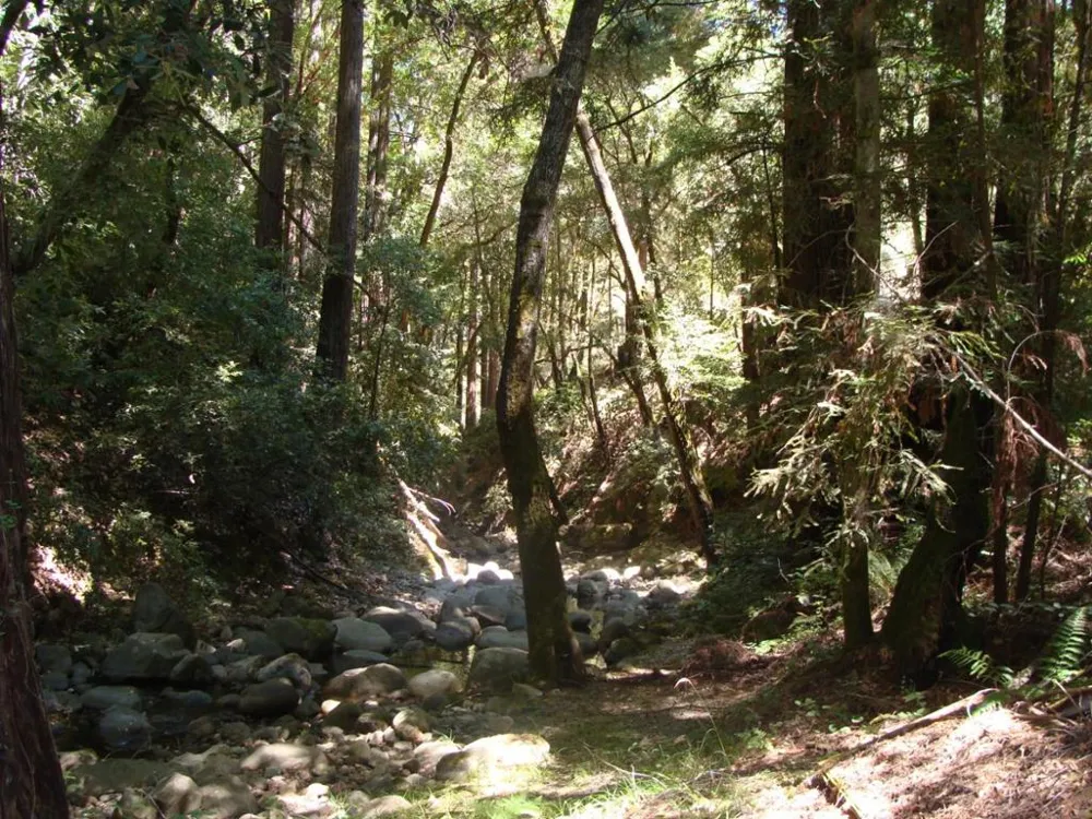 7150 Croy Road Morgan Hill, CA 95037