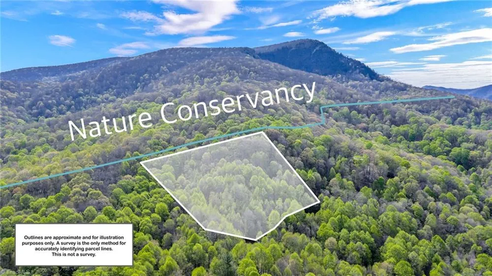 TBD Bluff Canyon Drive West Jefferson, NC 28694