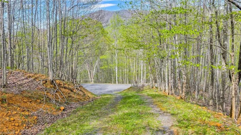 TBD Bluff Canyon Drive West Jefferson, NC 28694