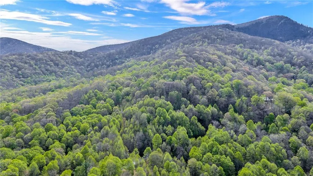 TBD Bluff Canyon Drive West Jefferson, NC 28694