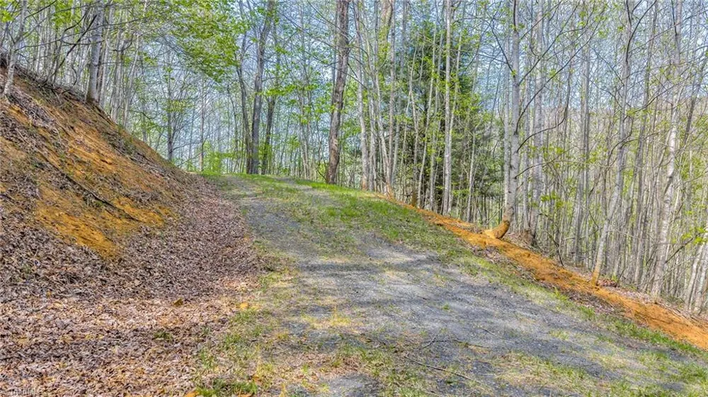 TBD Bluff Canyon Drive West Jefferson, NC 28694