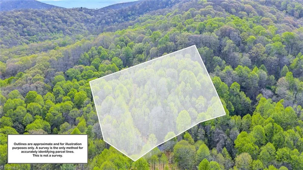 TBD Bluff Canyon Drive West Jefferson, NC 28694