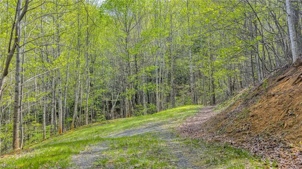 TBD Bluff Canyon Drive West Jefferson, NC 28694