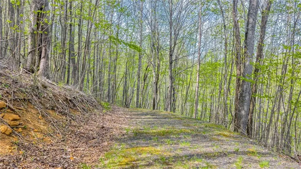 TBD Bluff Canyon Drive West Jefferson, NC 28694