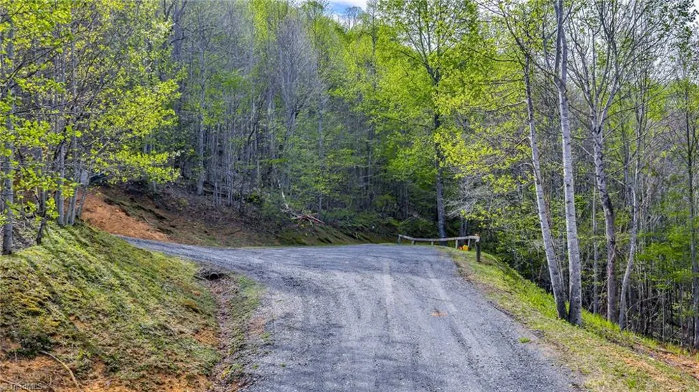 TBD Bluff Canyon Drive West Jefferson, NC 28694