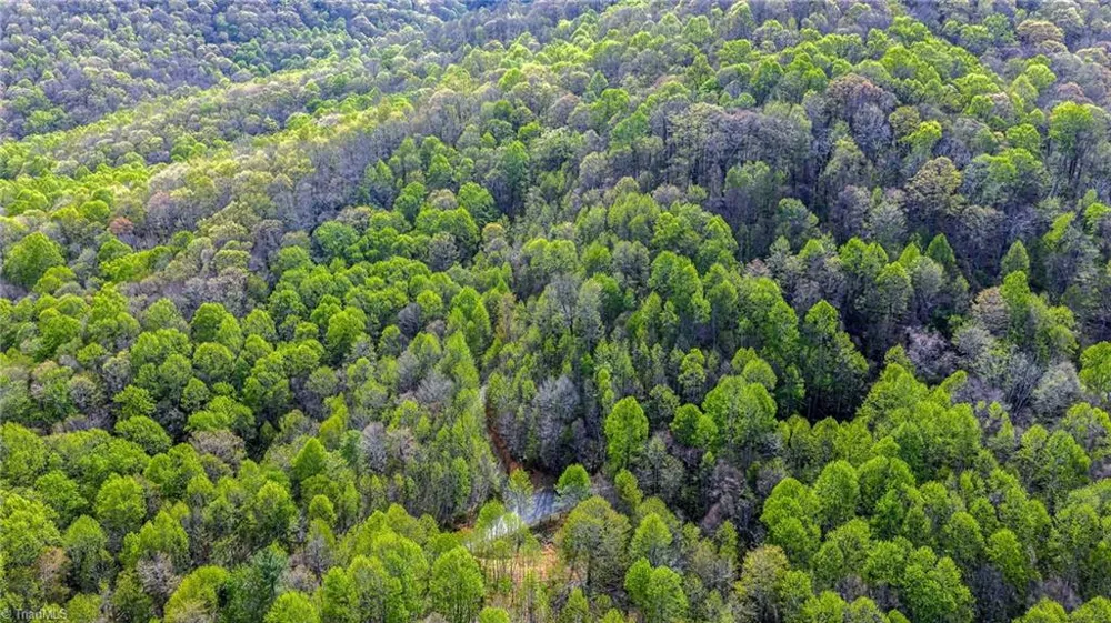 TBD Bluff Canyon Drive West Jefferson, NC 28694