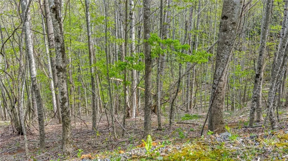 TBD Bluff Canyon Drive West Jefferson, NC 28694