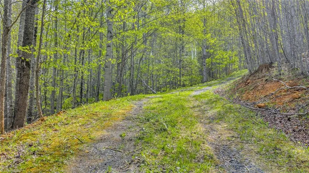 TBD Bluff Canyon Drive West Jefferson, NC 28694