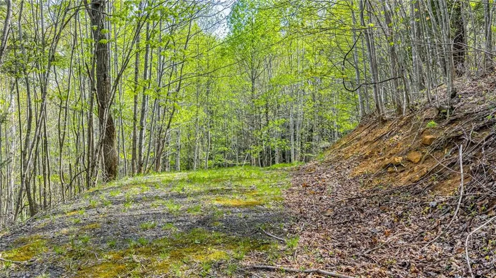 TBD Bluff Canyon Drive West Jefferson, NC 28694