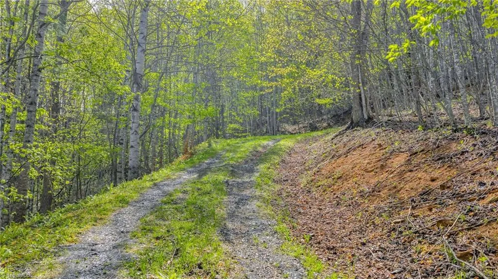 TBD Bluff Canyon Drive West Jefferson, NC 28694