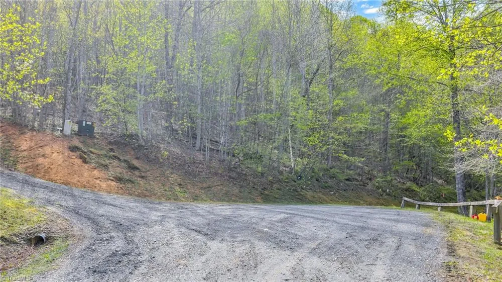 TBD Bluff Canyon Drive West Jefferson, NC 28694