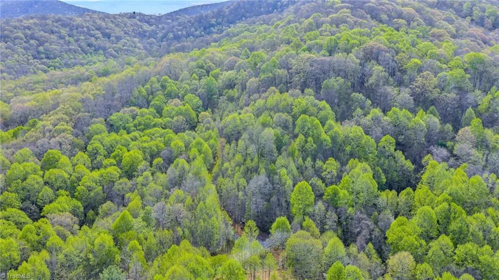TBD Bluff Canyon Drive West Jefferson, NC 28694