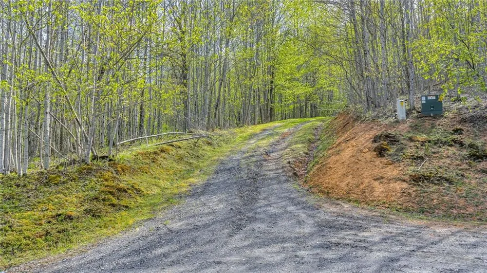 TBD Bluff Canyon Drive West Jefferson, NC 28694