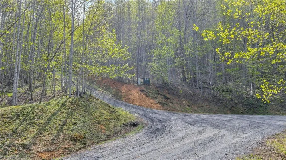 TBD Bluff Canyon Drive West Jefferson, NC 28694