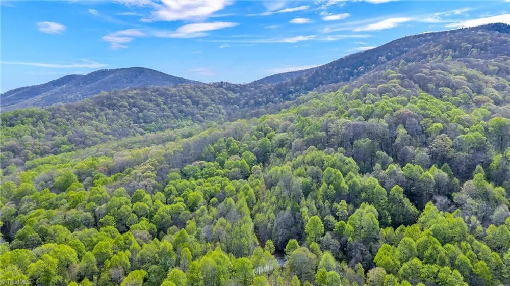 TBD Bluff Canyon Drive West Jefferson, NC 28694