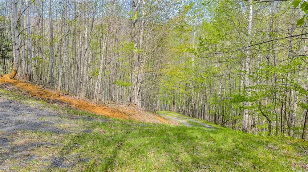 TBD Bluff Canyon Drive West Jefferson, NC 28694