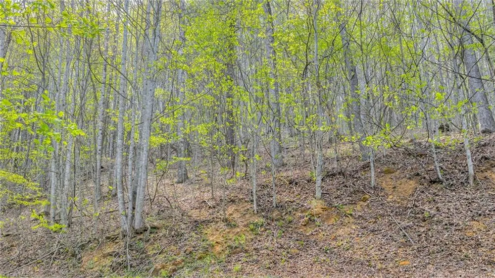 TBD Bluff Canyon Drive West Jefferson, NC 28694