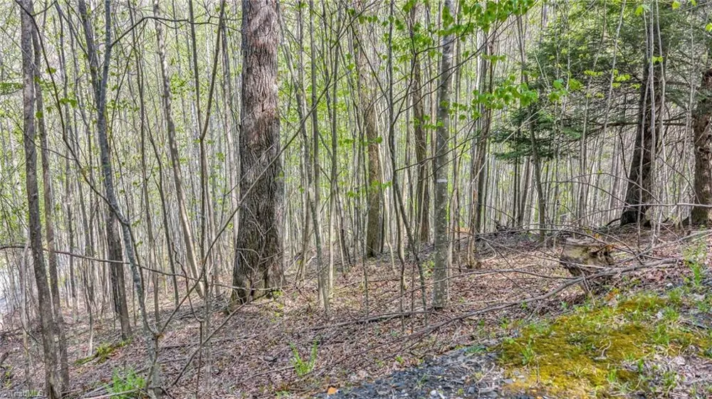 TBD Bluff Canyon Drive West Jefferson, NC 28694