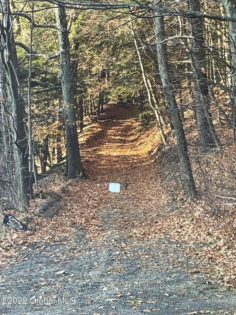 L26 & L27 Ecker Hollow Road Cobleskill, NY 12043