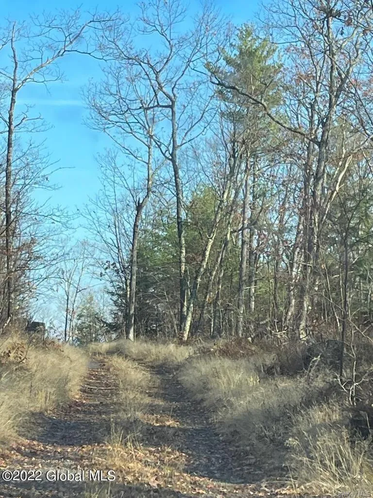 L26 & L27 Ecker Hollow Road Cobleskill, NY 12043