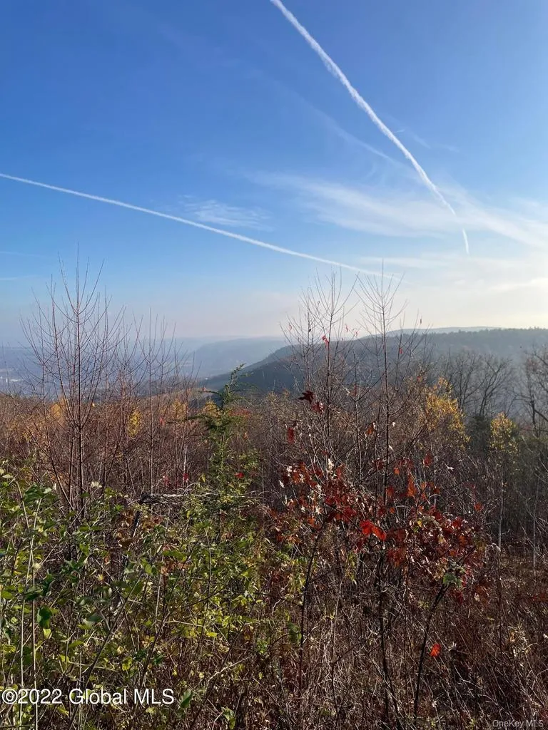 L26 & L27 Ecker Hollow Road Cobleskill, NY 12043