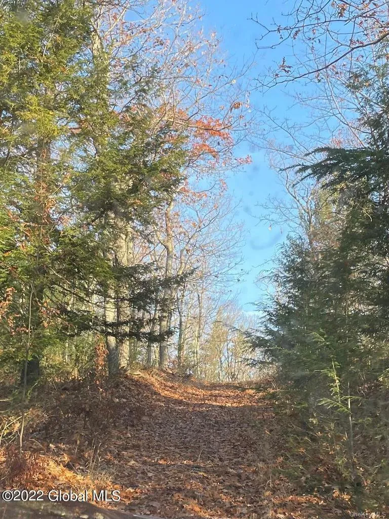 L26 & L27 Ecker Hollow Road Cobleskill, NY 12043