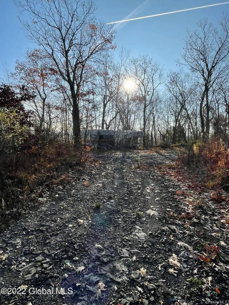 L26 & L27 Ecker Hollow Road Cobleskill, NY 12043