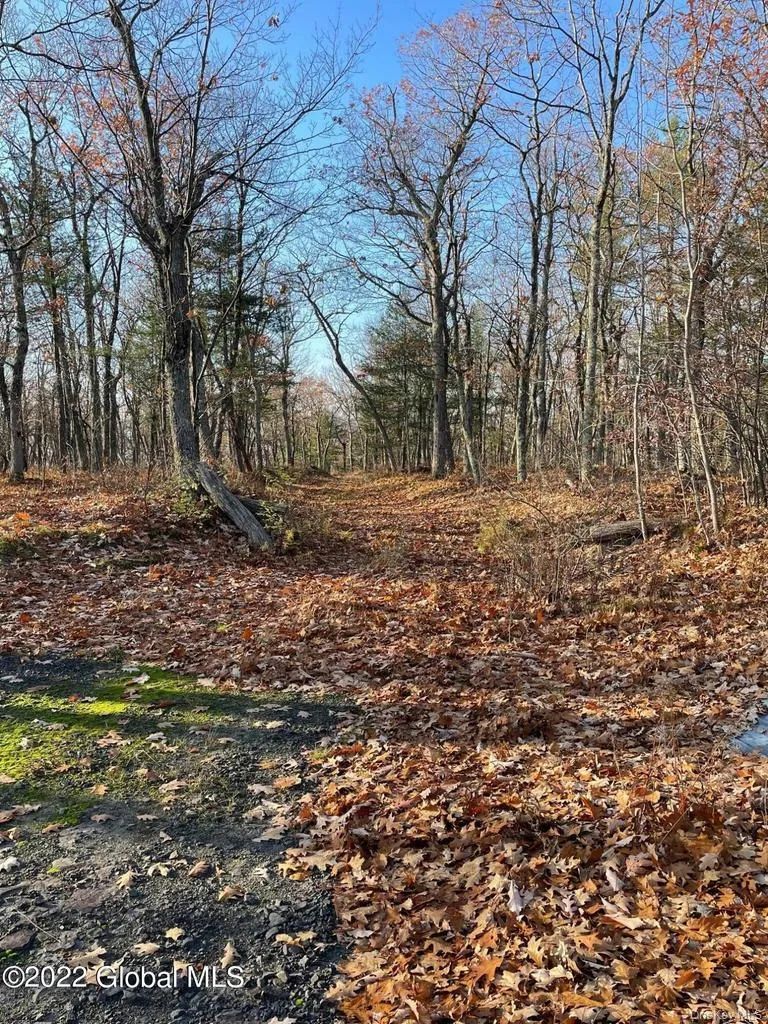 L26 & L27 Ecker Hollow Road Cobleskill, NY 12043