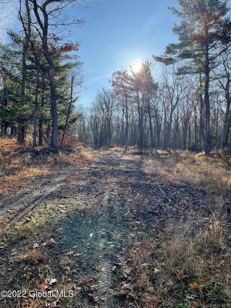 L26 & L27 Ecker Hollow Road Cobleskill, NY 12043