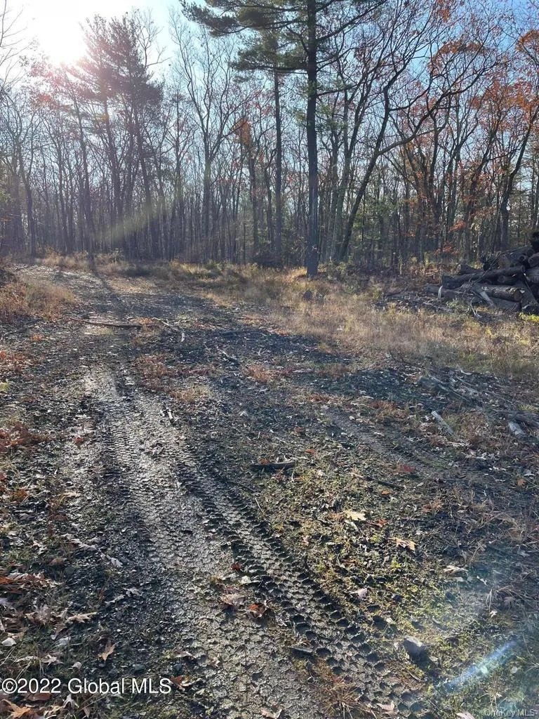 L26 & L27 Ecker Hollow Road Cobleskill, NY 12043