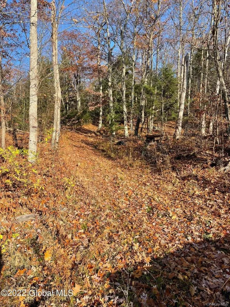 L26 & L27 Ecker Hollow Road Cobleskill, NY 12043