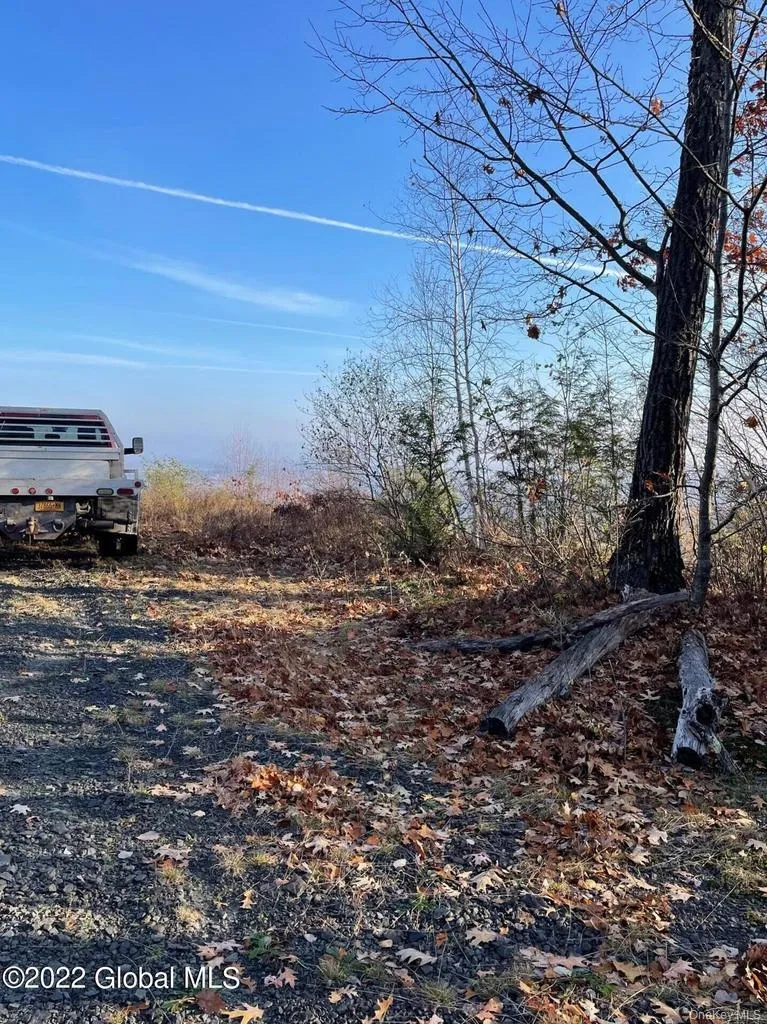 L26 & L27 Ecker Hollow Road Cobleskill, NY 12043