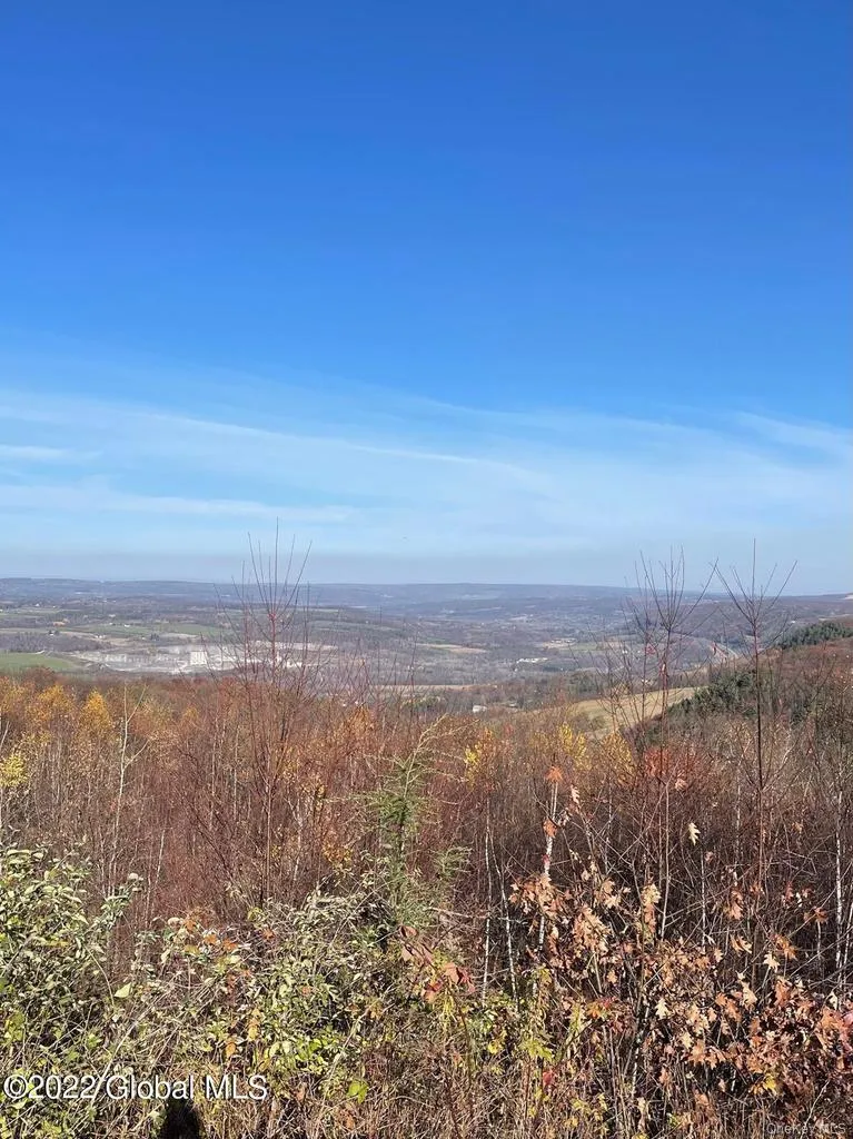 L26 & L27 Ecker Hollow Road Cobleskill, NY 12043