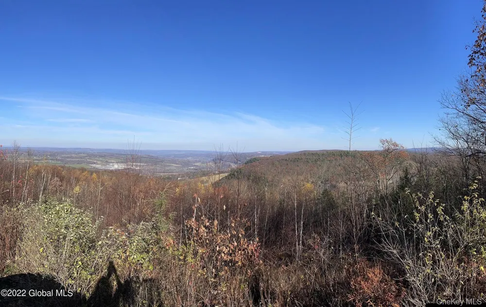 L26 & L27 Ecker Hollow Road Cobleskill, NY 12043