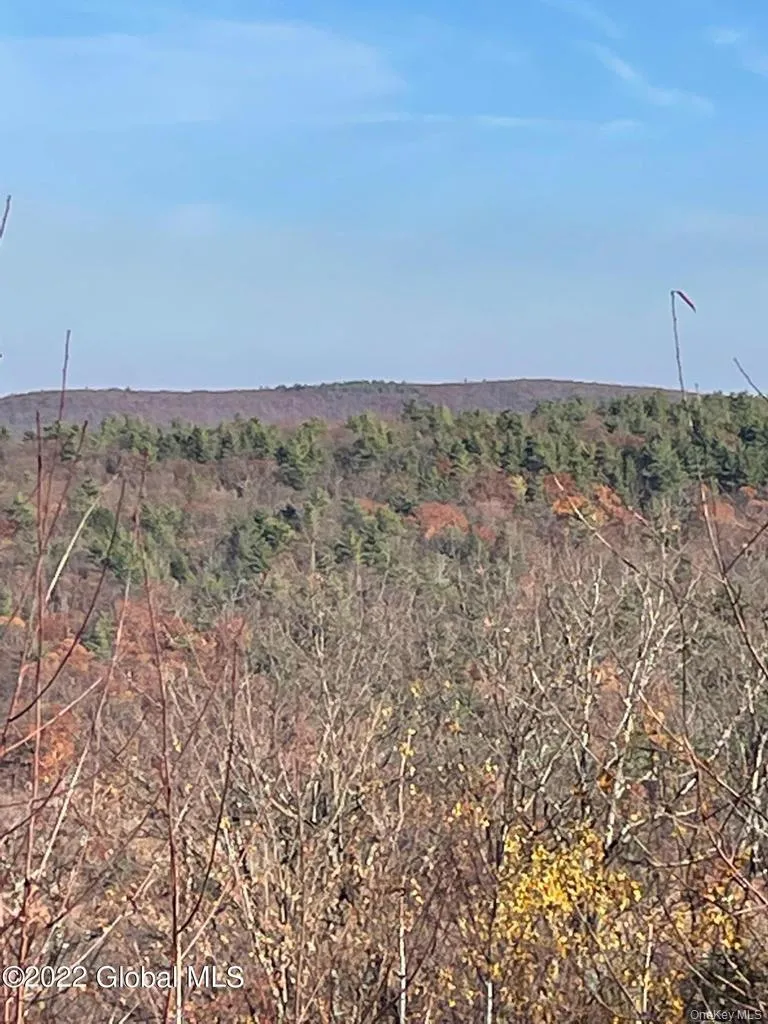 L26 & L27 Ecker Hollow Road Cobleskill, NY 12043