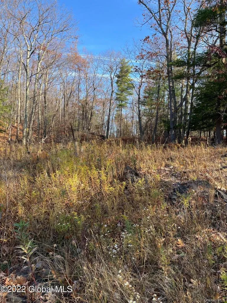 L26 & L27 Ecker Hollow Road Cobleskill, NY 12043