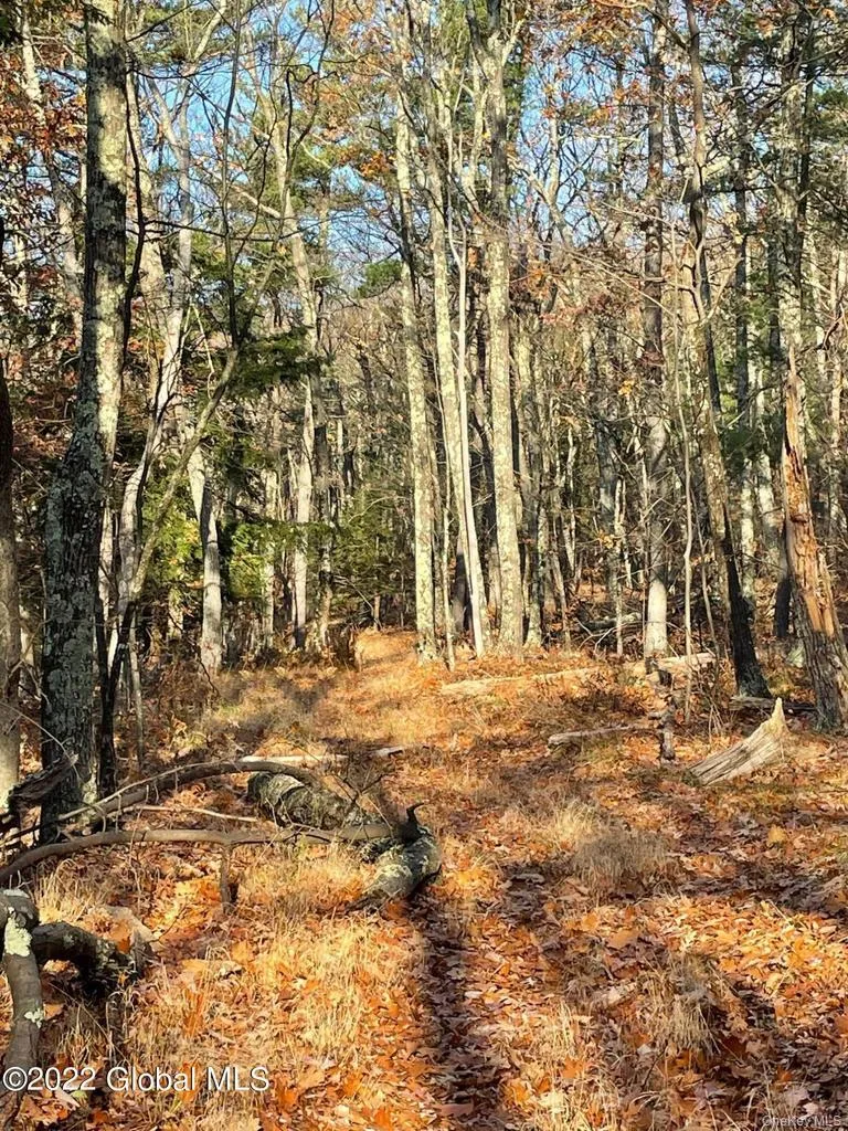 L26 & L27 Ecker Hollow Road Cobleskill, NY 12043