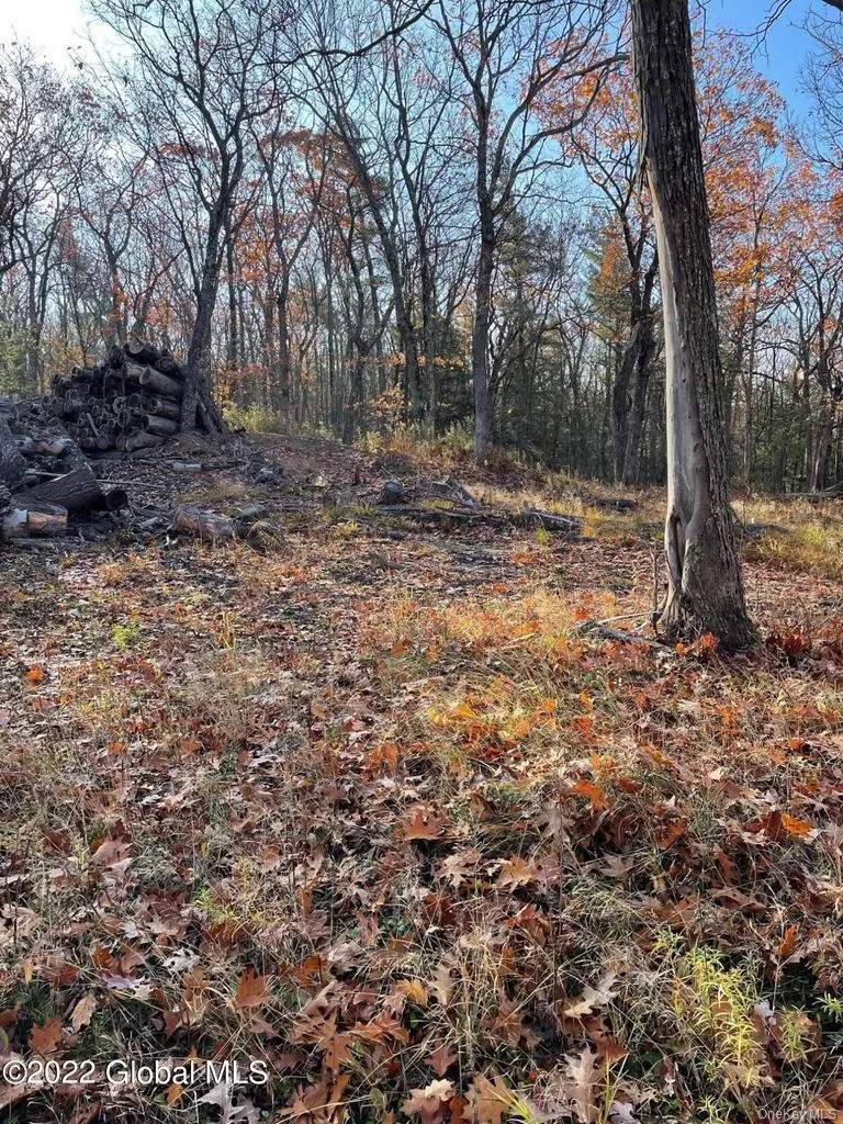 L26 & L27 Ecker Hollow Road Cobleskill, NY 12043