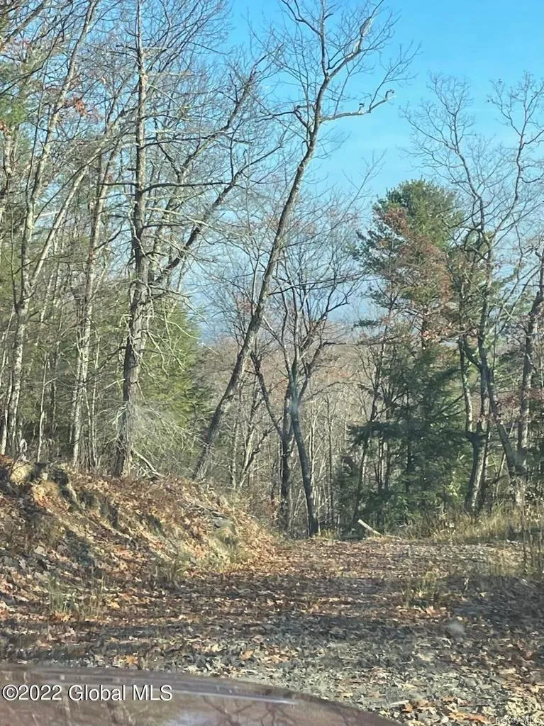 L26 & L27 Ecker Hollow Road Cobleskill, NY 12043