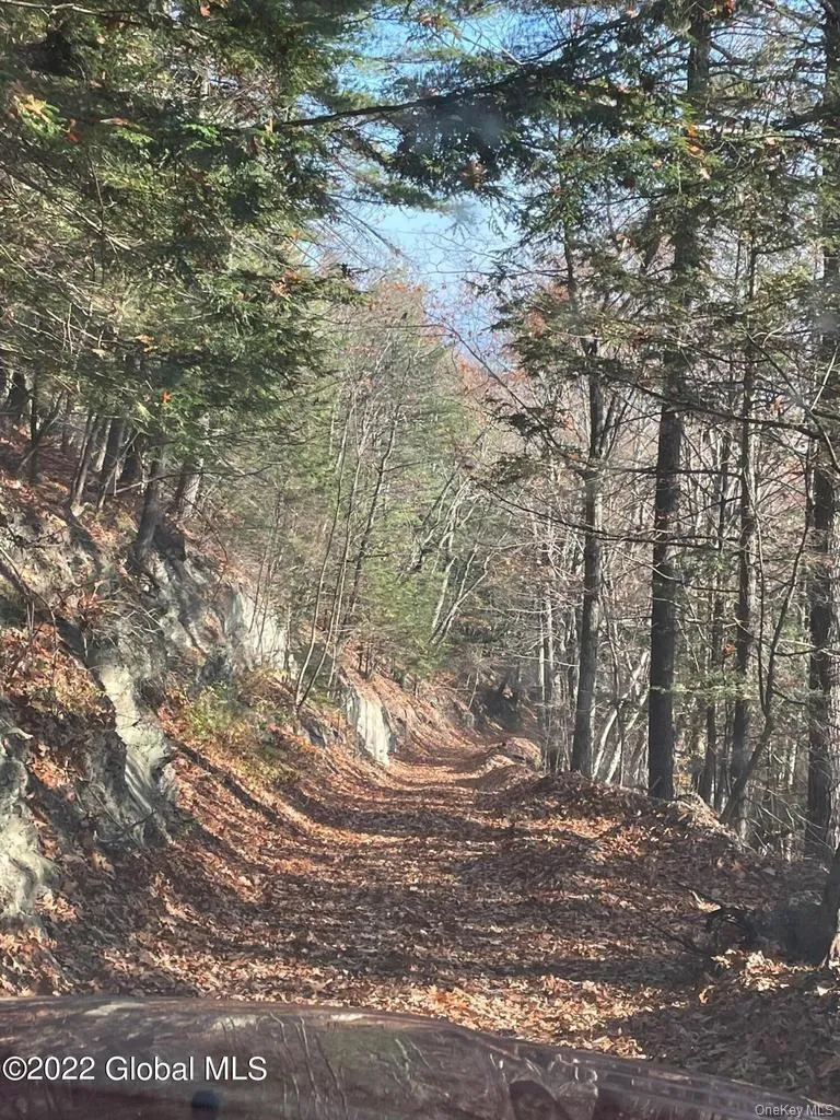 L26 & L27 Ecker Hollow Road Cobleskill, NY 12043