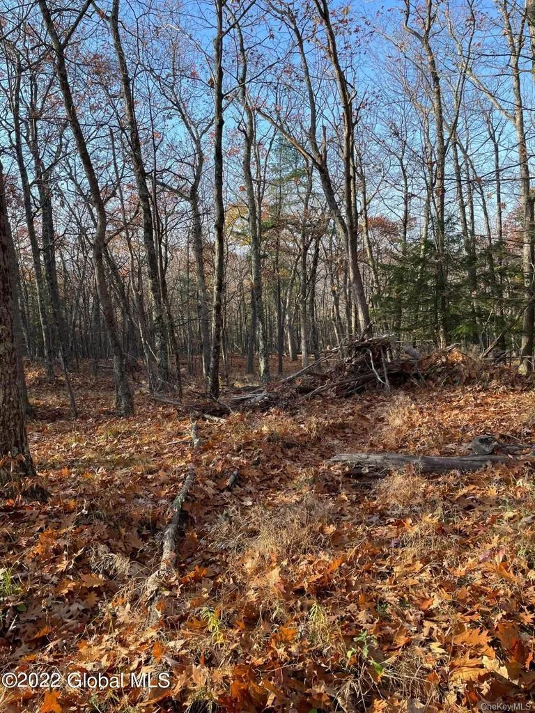 L26 & L27 Ecker Hollow Road Cobleskill, NY 12043