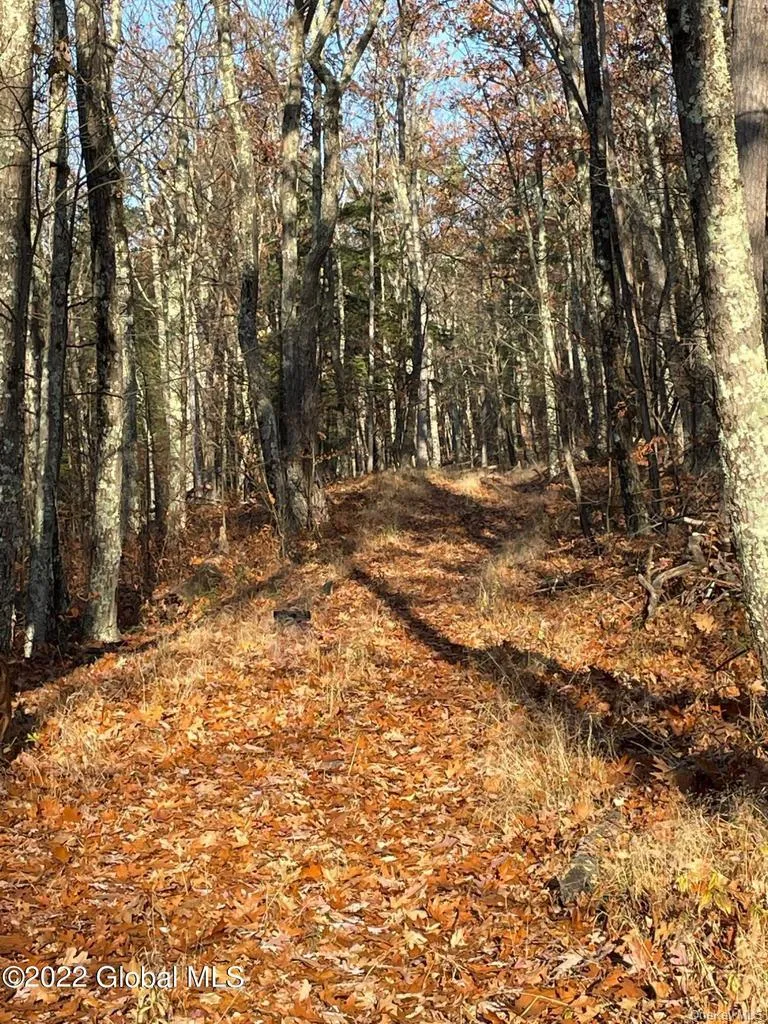 L26 & L27 Ecker Hollow Road Cobleskill, NY 12043