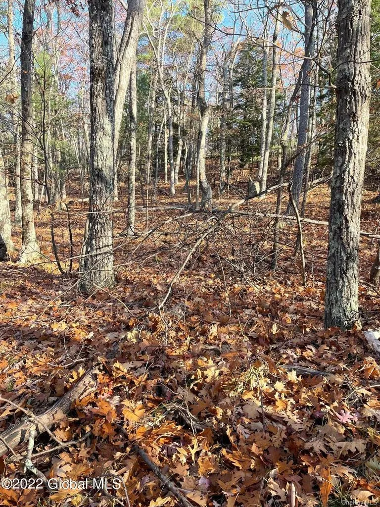 L26 & L27 Ecker Hollow Road Cobleskill, NY 12043