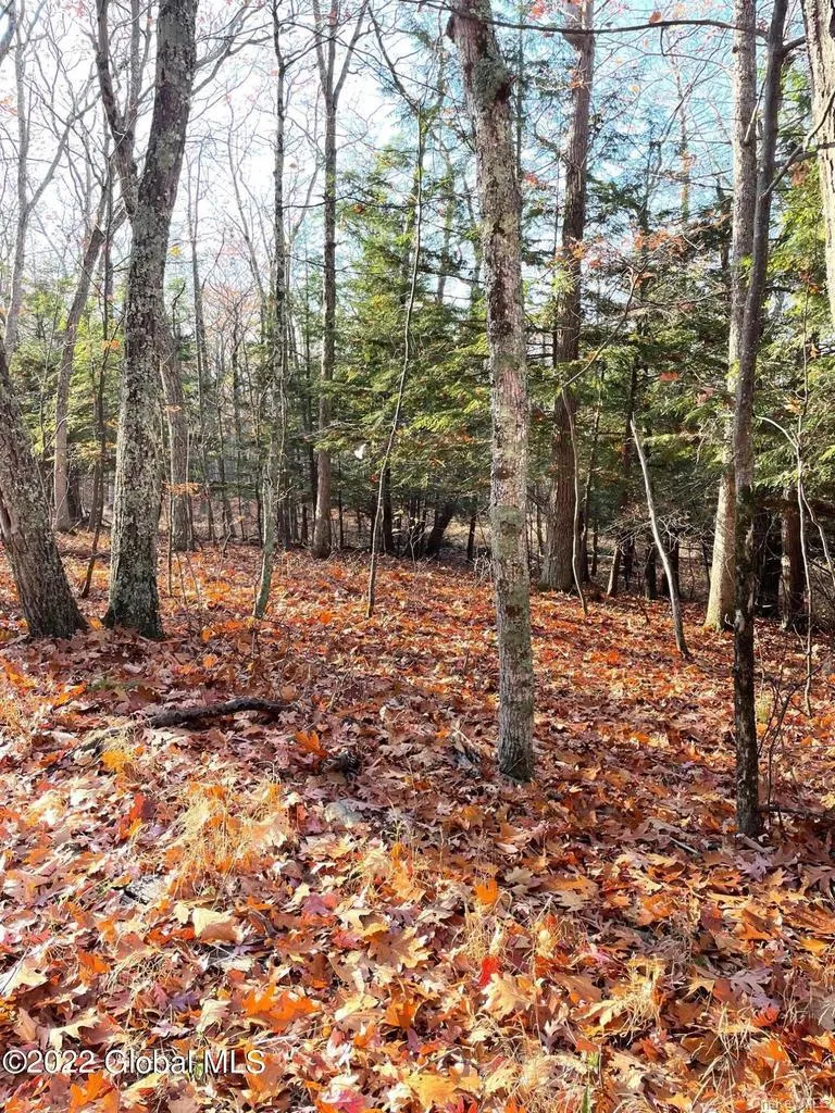 L26 & L27 Ecker Hollow Road Cobleskill, NY 12043