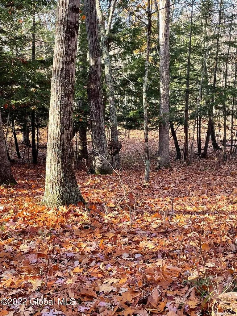 L26 & L27 Ecker Hollow Road Cobleskill, NY 12043