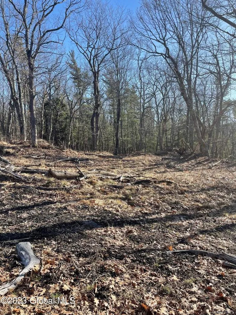 L26 & L27 Ecker Hollow Road Cobleskill, NY 12043