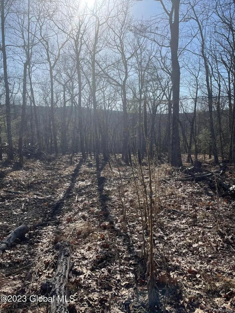 L26 & L27 Ecker Hollow Road Cobleskill, NY 12043